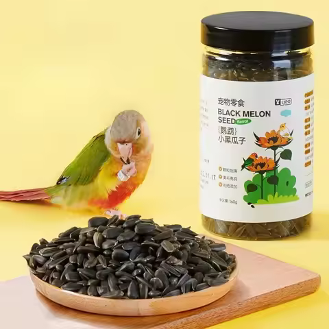 Parrot Melon Seeds Tiger Feed Bird Food Snacks Training Reward Food Black Pearl Oil Sunflower S... product image