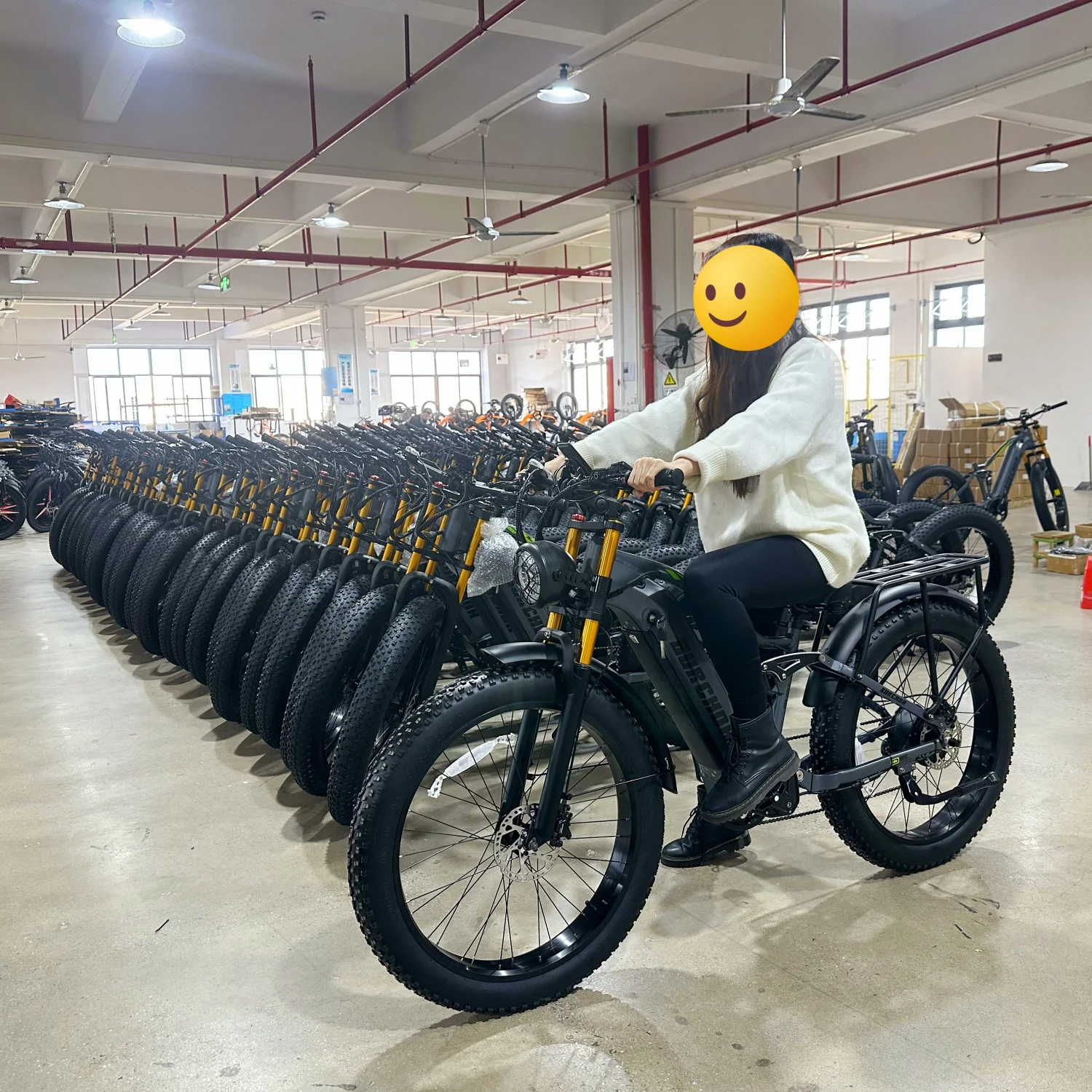 

Электрический горный велосипед RX80 BURCHDA 1000W 48V 20AH с литиевой батареей, задним мотор-колесом, 7 скоростями, для взрослых, для дорог и города
