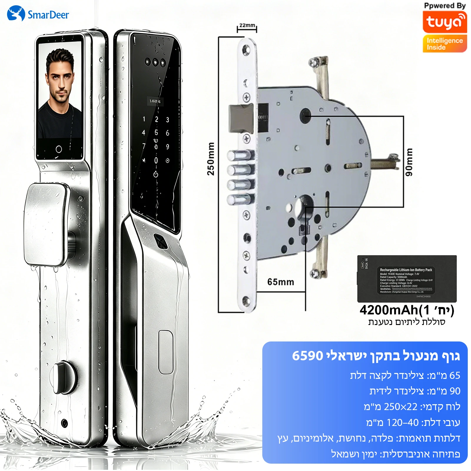 SmarDeer 6590 Israëlische standaard insteekslot, Tuya WiFi 3D Face Palm Vein Lock, IP66 waterdicht, Hebreeuwse ondersteuning