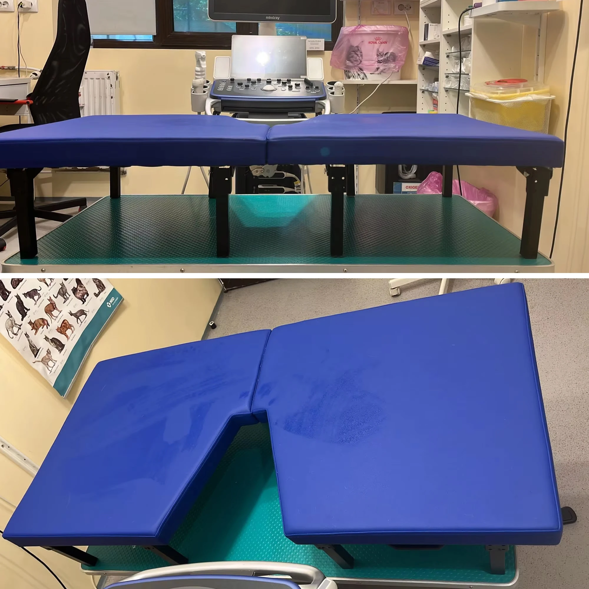 Professional Mobile Lifting Cardiac Ultrasound Table Mobile Lifting Veterinary Ultrasound Imaging Exam Table