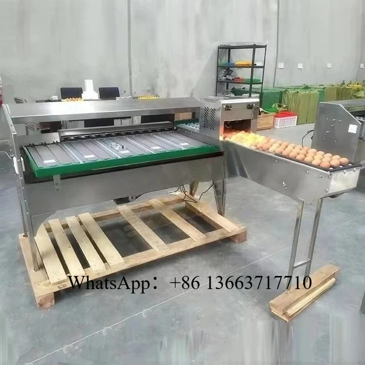 Small Scale Automatic Chicken Egg Sorting Machine Customized Weight Size Classify Grader Egg Grade Machine by Weight Stable