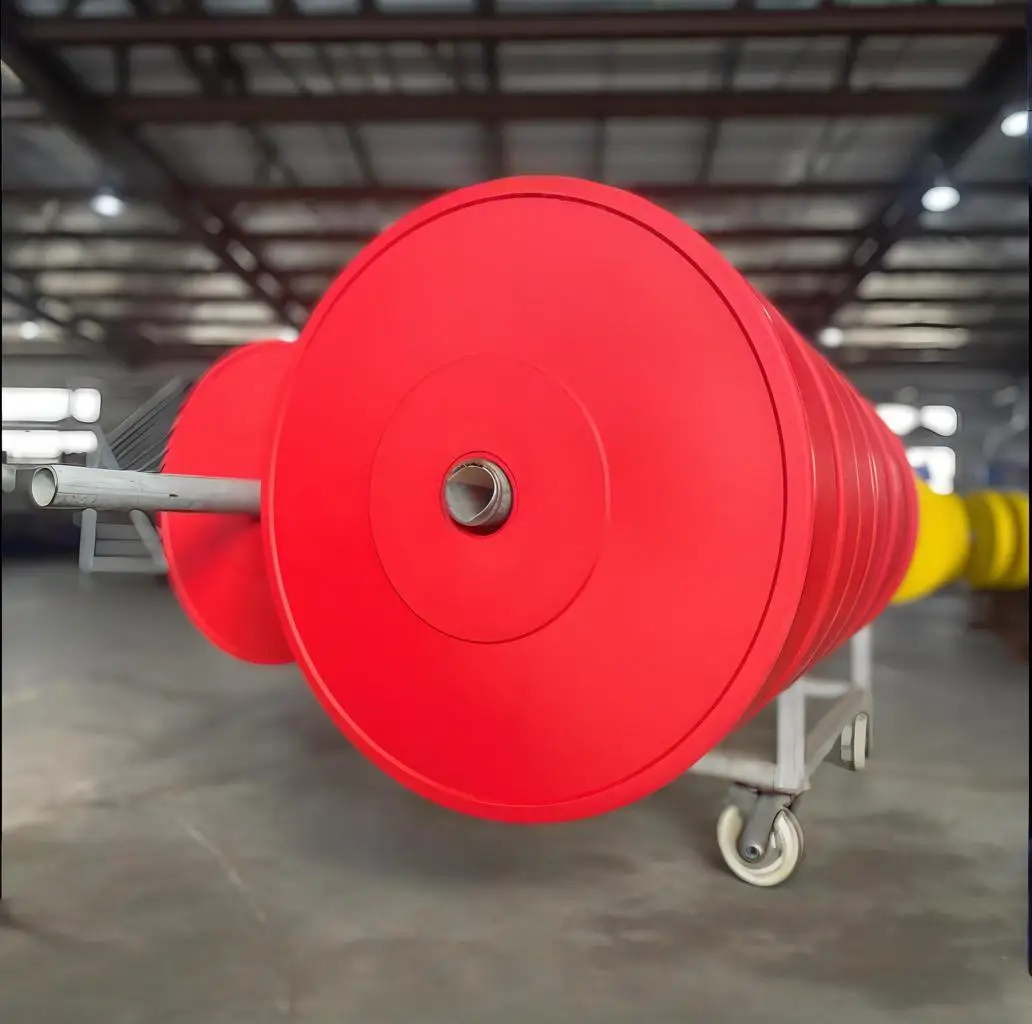 

30Kg Dumbbell Weight Plate Round Painted Cast Iron for Lifting Equipment Barbell Discs Commercial Gym Use Dumbbell Weight Platep