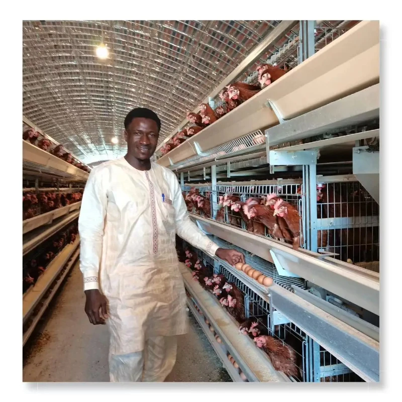 Best Sell Supply Completely Automatic Laying Hen Egg Layer Battery H Type Chicken Cages System