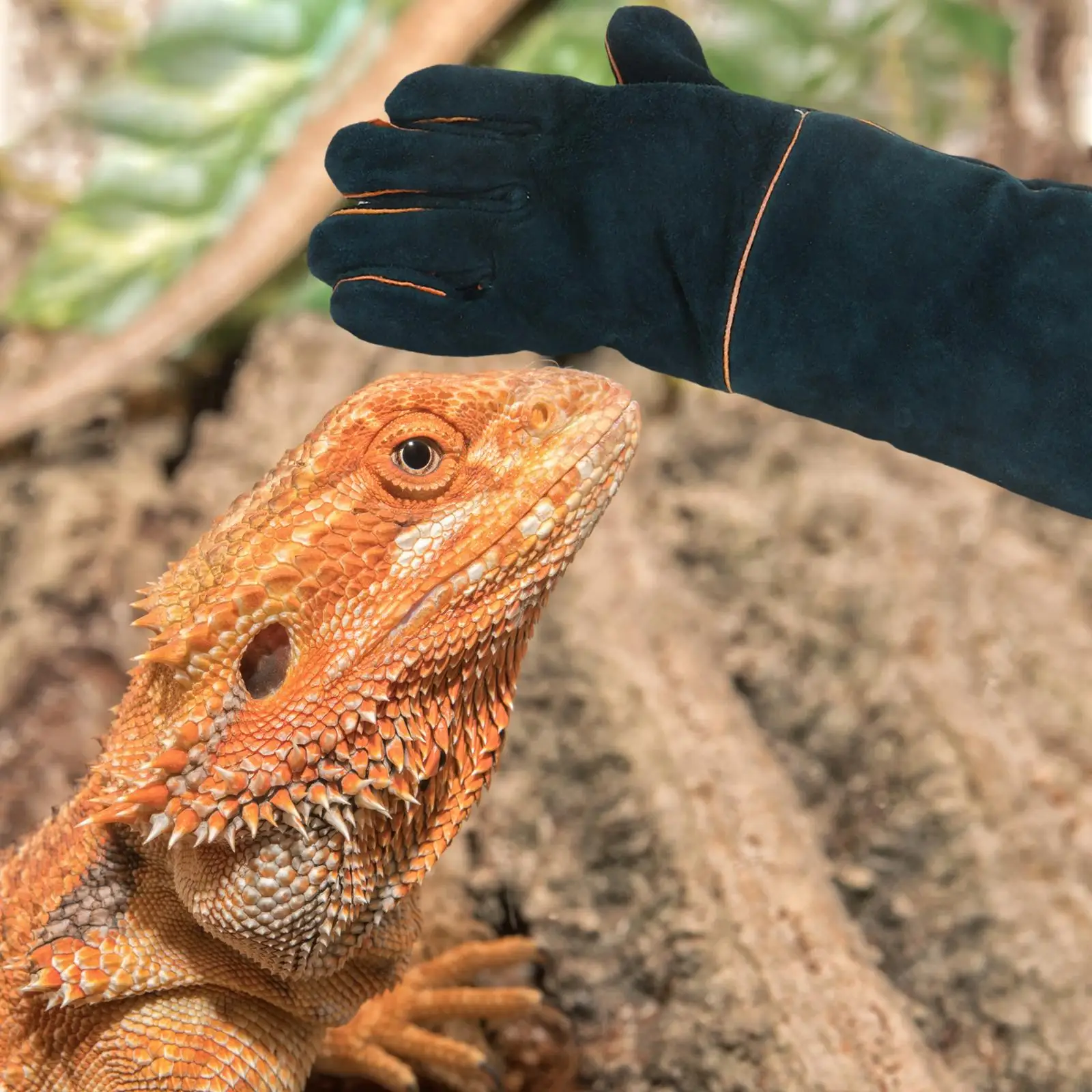 Gants Anti-morsure, fournitures d'alimentation pour animaux de compagnie, épaississement de sécurité en peau de vache, matériau Durable résistant aux rayures