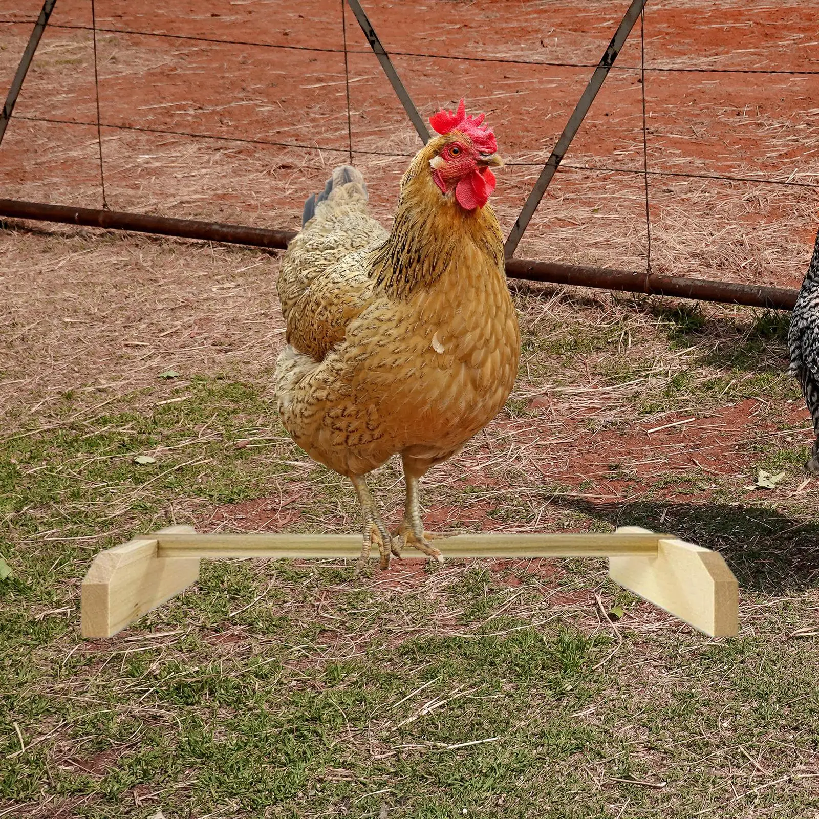 Chick Perch Wood Stand Durable Entertainment Playstand Bird Cage Perch Chicken Toy for Baby Chicks Bird Backyard Macaw Hens