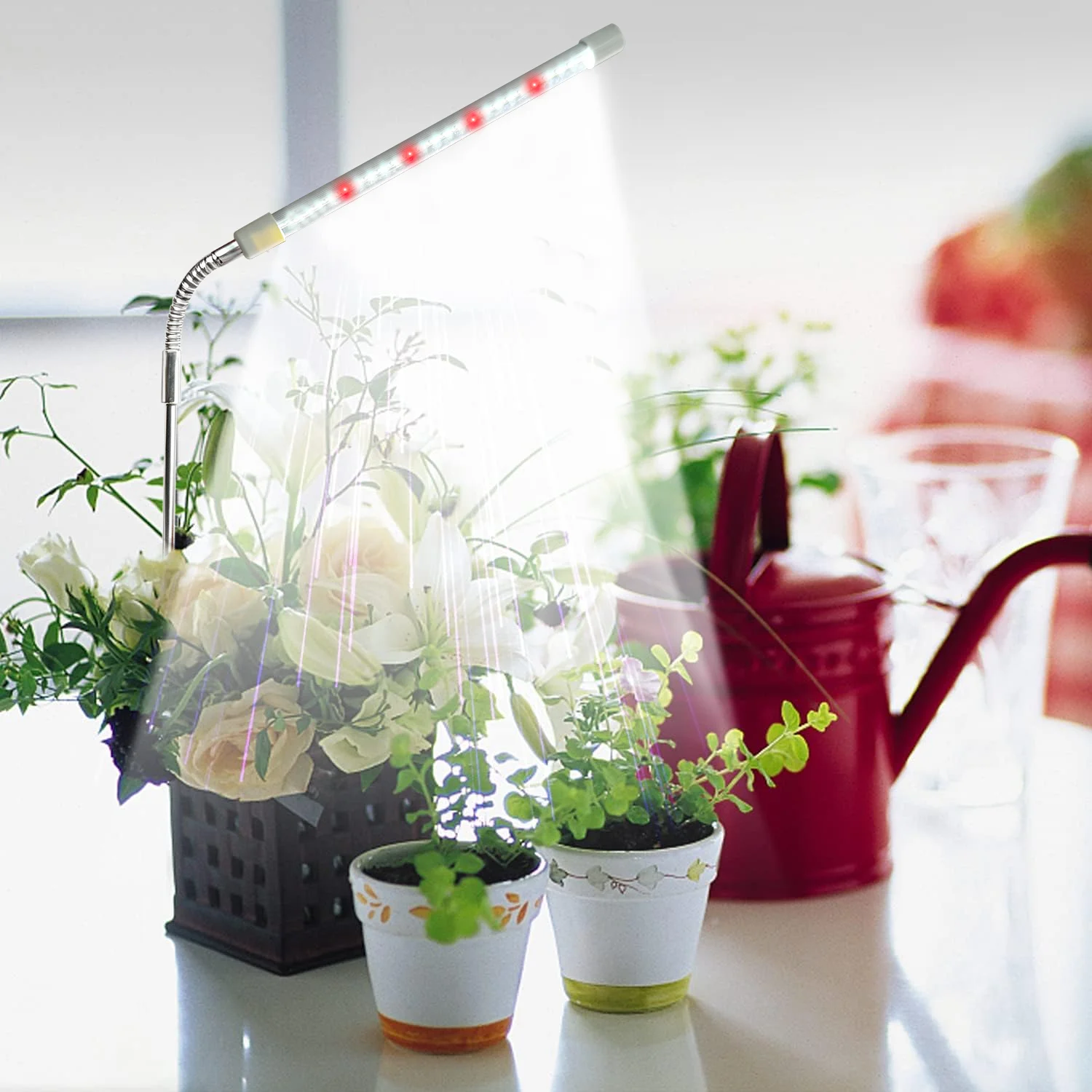 

Goose-Neck LED Plant Light, Full Spectrum Grow Light with 360° Rotation & Timer, Adjustable Brightness for Indoor Plants