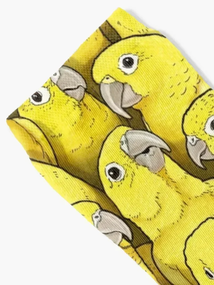 Golden Conures Socks Heating sock Crossfit crazy gifts Male Socks Women's