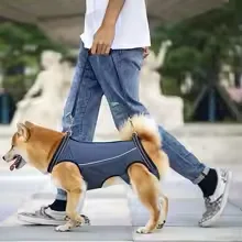 Adjustable Universal Dog Lift Harness Sling, Walking Mobility Carrier Belt for Old Elderly Dog Injured Front & Rear Leg Support