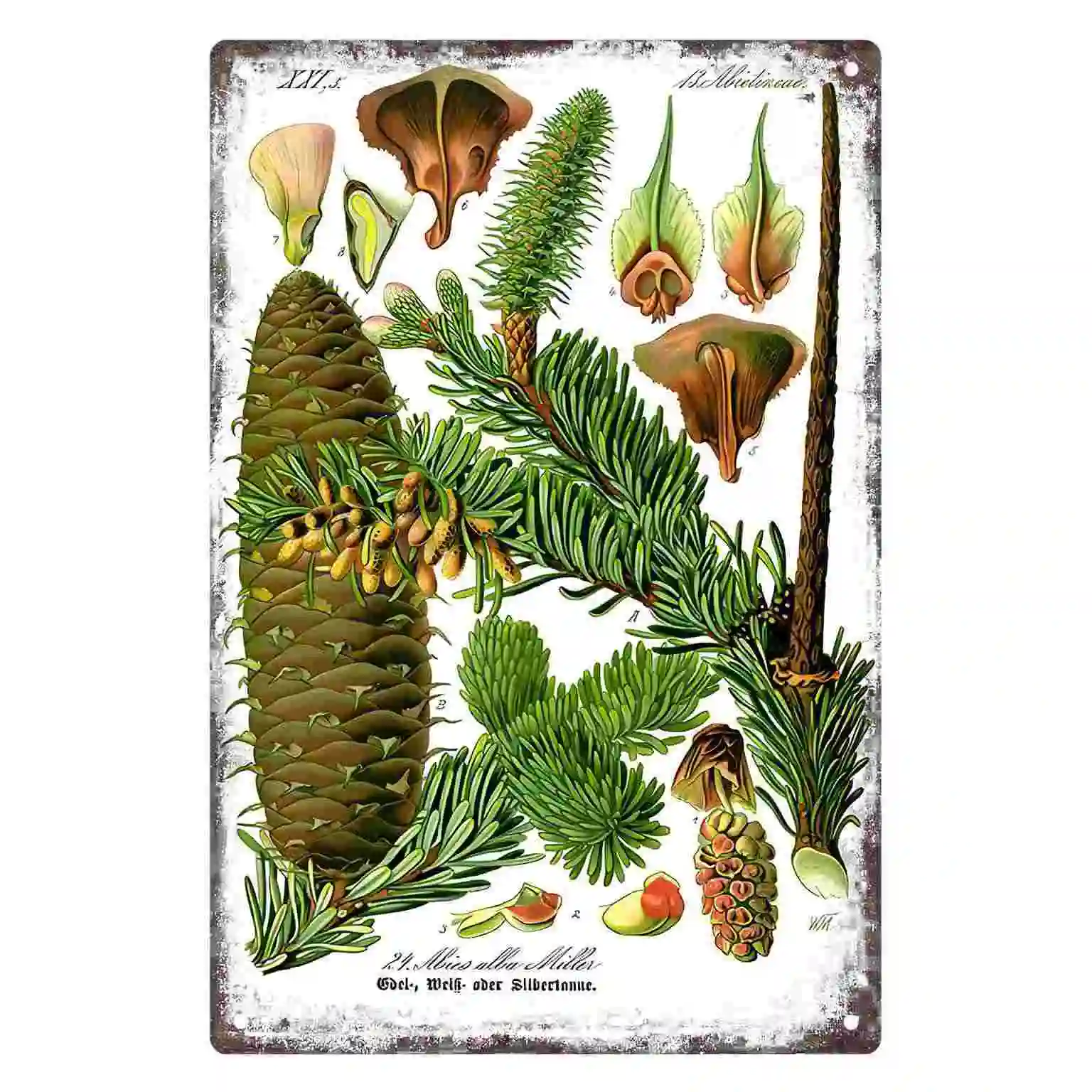 2D FLAT 1pc Vintage Botanical Pine Cone and Evergreen Branch Wall Art Decoration for Home Office Bedroom Porch And Garden