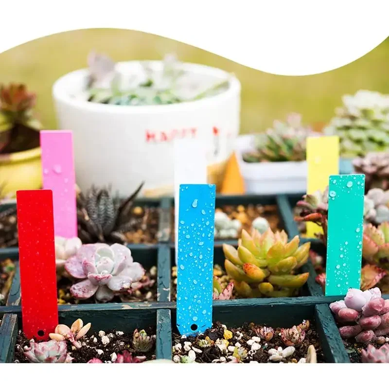 100 Pcs / lot PVC Plant Seed Labels Pot Marker Nursery Garden Stake Tags Flower Plant Name Marking Label 10x2cm Garden Supplies