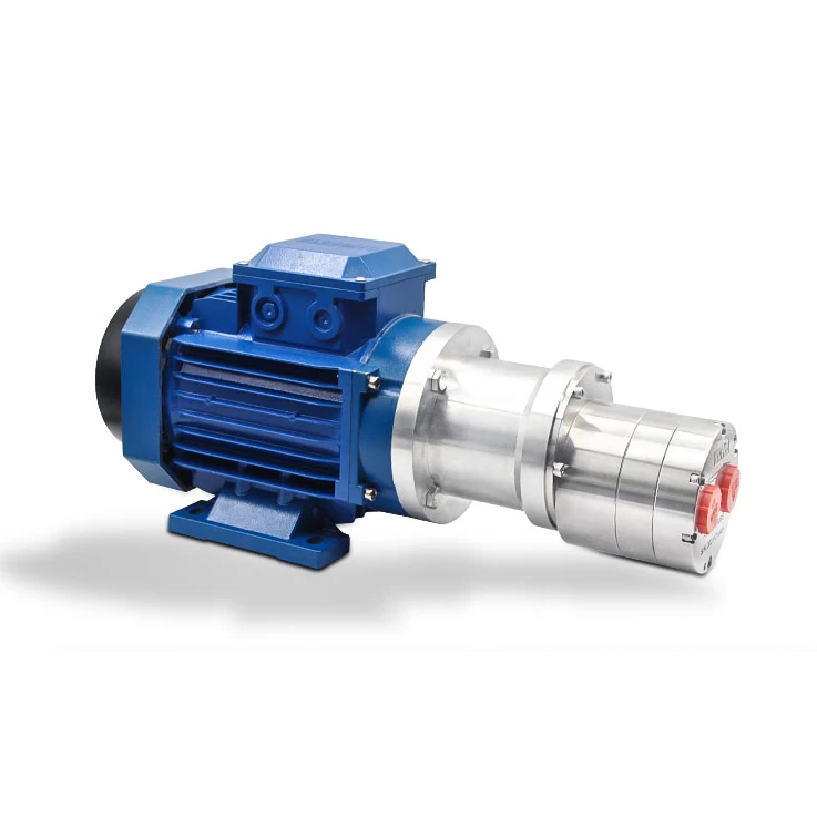 Food and Beverage Industry high pressure electronic Magnetic food grade Drive water Gear Pump