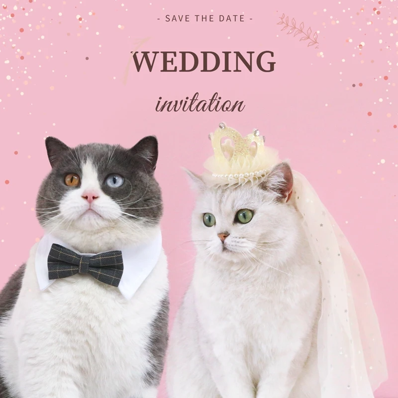 Pet Cat Wedding Princess Crown Wedding Veil Cat Dog Bridal Sequin Lace Pearls Headdress Dog Weddings Parties Hair Accessories