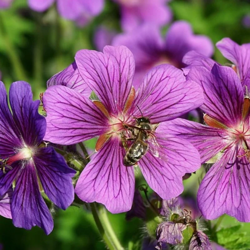 

4 шт., обод колеса из алюминиевого сплава 1,9 дюйма, цветной для 1/10 RC гусеничного осевого SCX10 90046 AXI03007 TRX4 VS4-10 Redcat Gen8