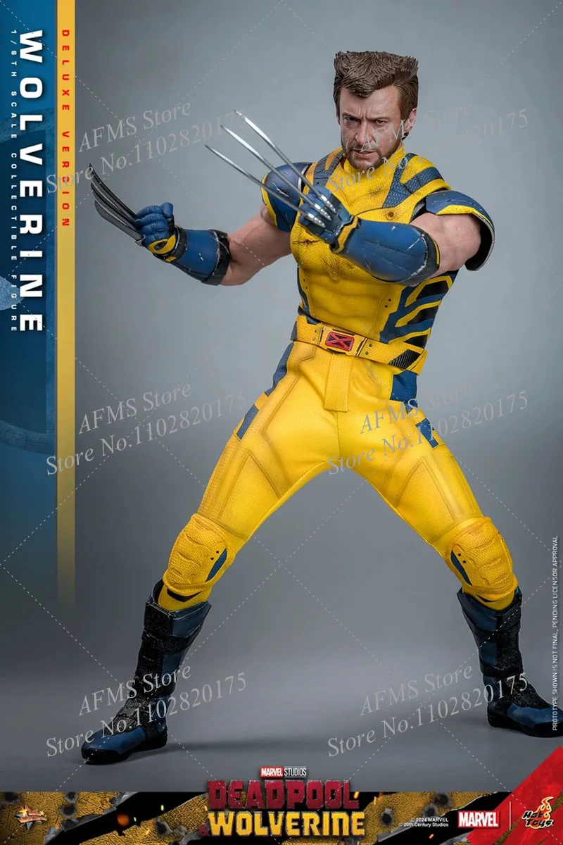 HOTTOYS HT MMS754 Figura colecionável em escala 1/6 Deadpool & Wolverine Hugh Jackman Wolverine 12 polegadas Figura de ação de soldado masculino