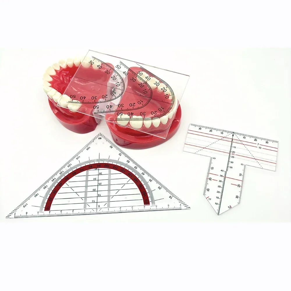 

1pcs Denture Work Dental Teeth Guide Plate Ruler Dental Guide Plate Teeth Arrangement on Denture Drawing And Alignment Dental