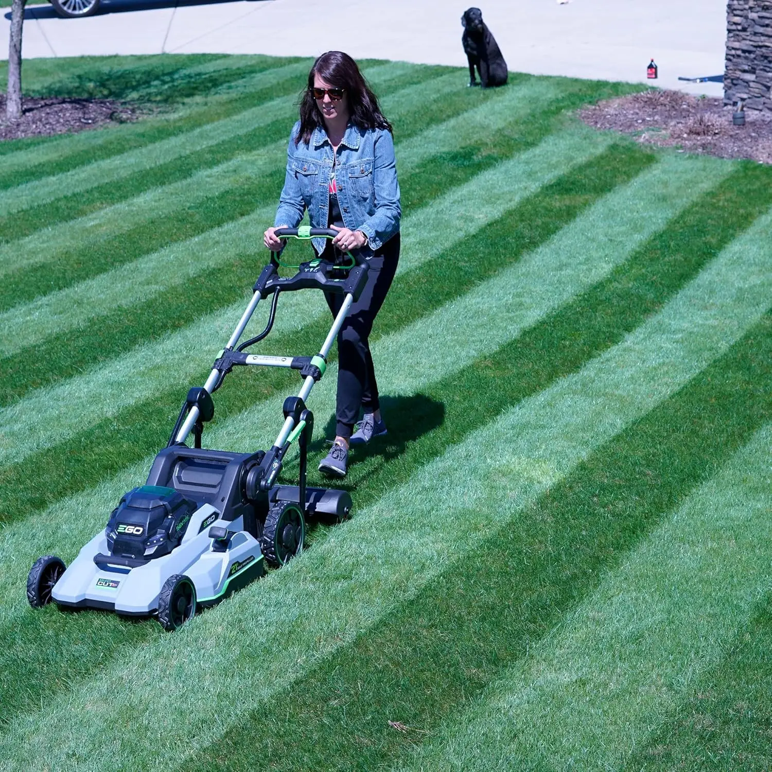 System/Stripe Your Lawn Like A Ballpark/ONLY Works with EGO Battery Powered 21