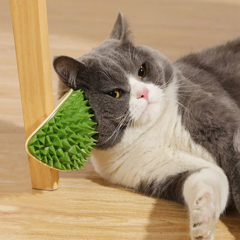 Multi-Functional Pet Toys Hair Remover Brush Durian Shape Cat Catnip Toy