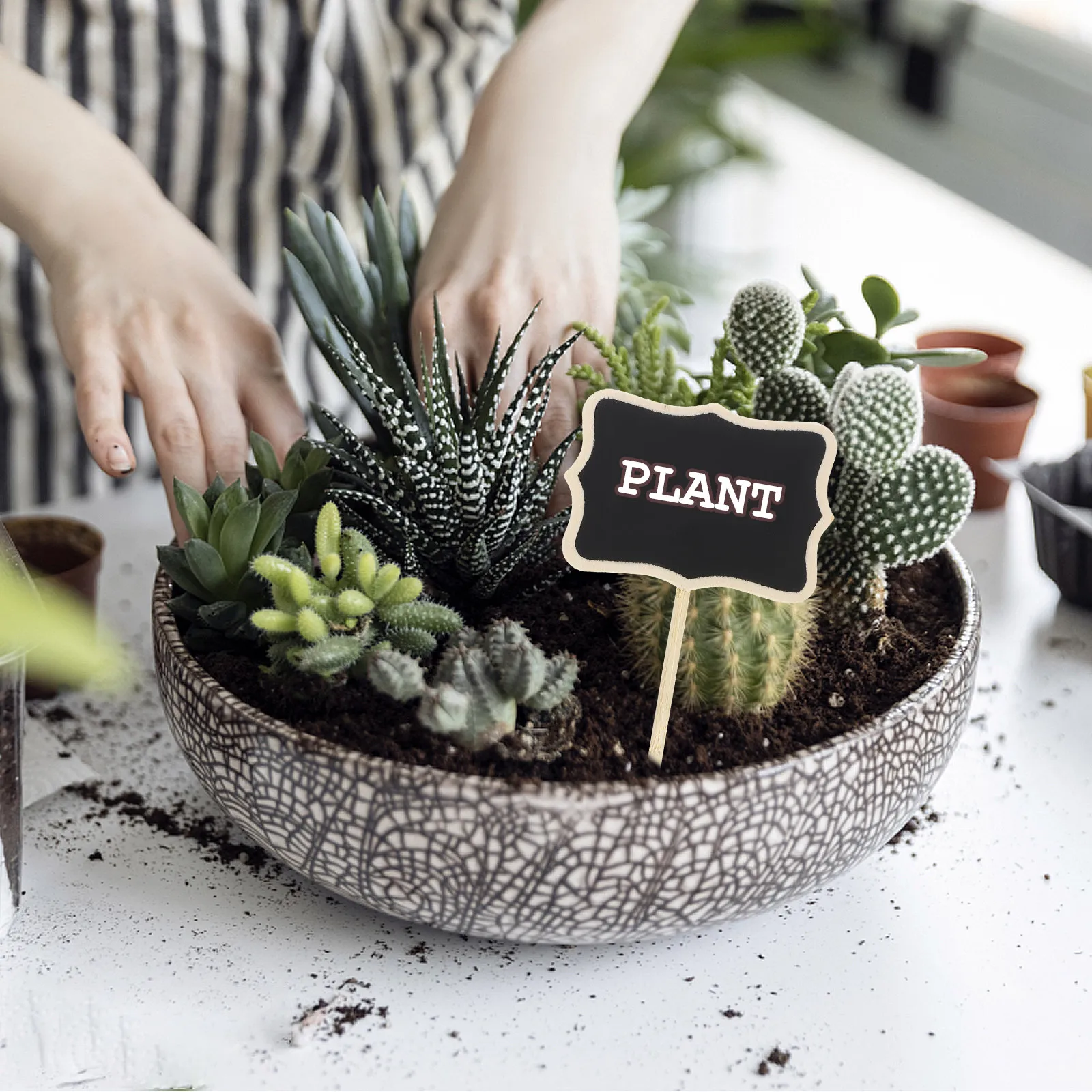 

10Pcs Mini Standing Blackboard Signs Lightweight Chalkboard Price Tags for Plant Labels Table Numbers Wedding Party Decor