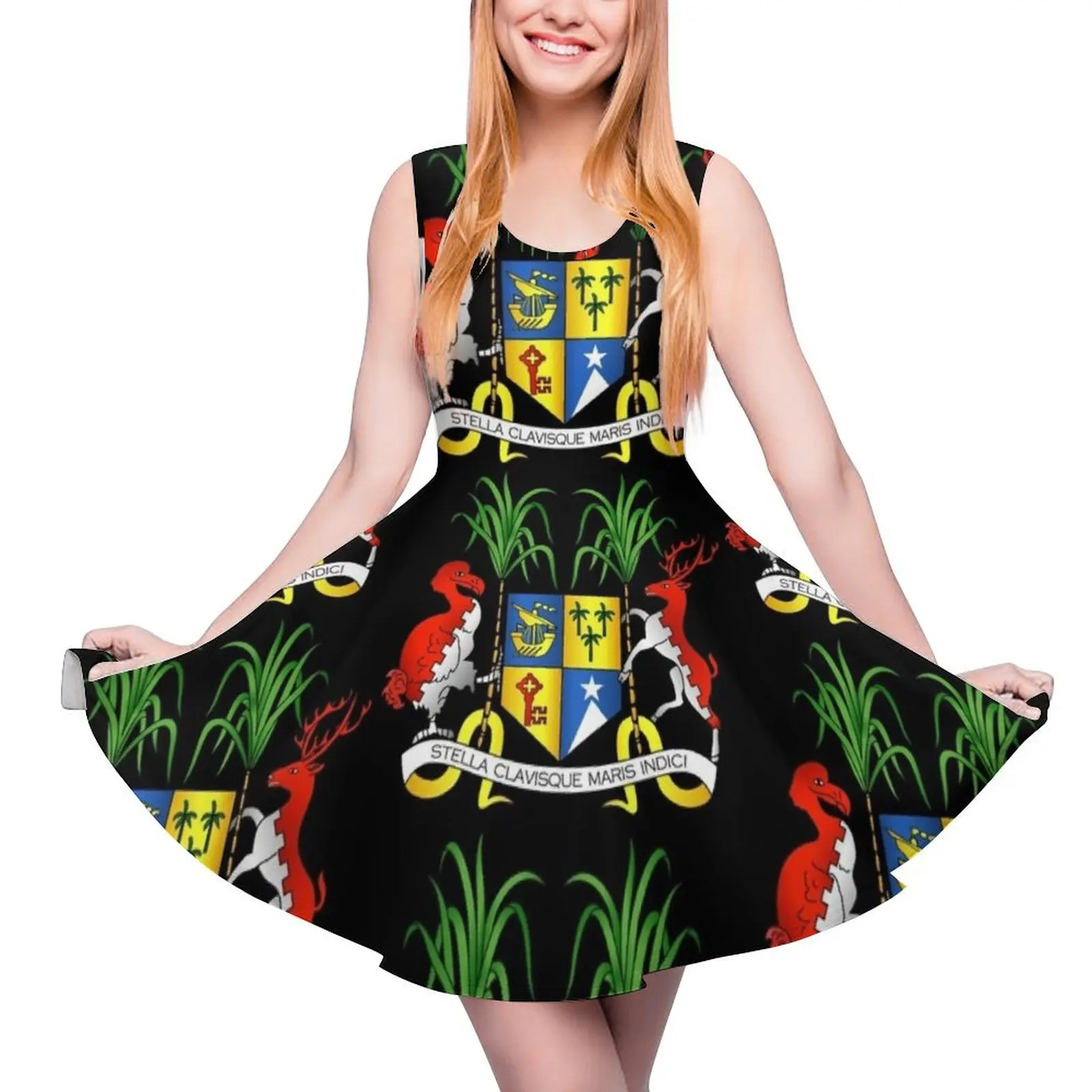 

Mauritius Coat of Arms Sleeveless Dress luxury dresses women long dresses