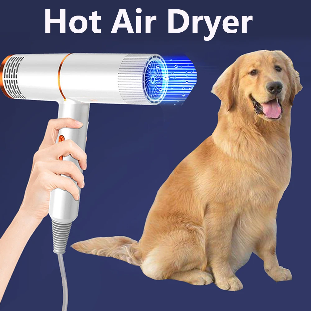 Dog Grooming Dryer Pet Hair  Cat Blower Warm Wind 1000w Eu Plug Cold Hot Air With Heater For Medium Small Puppy