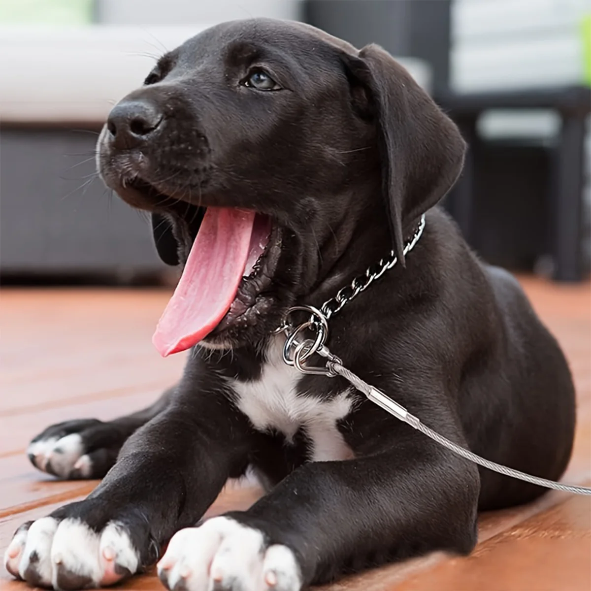 3m/5m Edelstahl-Hundeleine für hohe Beanspruchung, geeignet für kleine und große Hunde, bissfeste Stahlseil-Leine, Haustierleine. – Detail 6