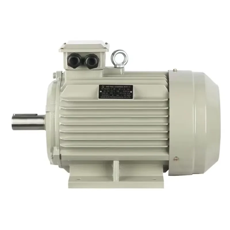 Single Phase 220V Asynchronous Motor for Fan Pump Conveyor Enclosed Variable Speed Drive High Efficiency CE Certified