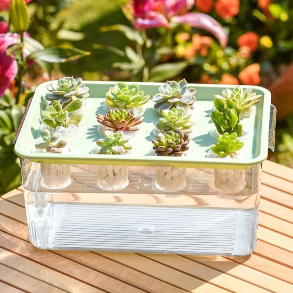 

Transparent Hydroponic Grow Fish Tank Self-Cleaning Soilless Cultivation Nursery Planting Box Healthy Environment