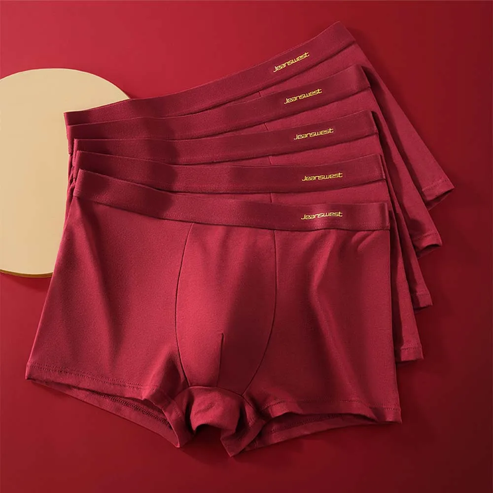 2/3/4Pcs Brand Man Underwear Breathable Mesh U Pouch Design Men's Underpants Soft Touch Men's Clothing Cotton Boxer Short