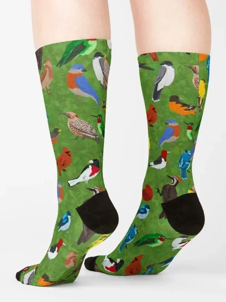 Backyard and Forest Birds on Leafy Background Socks Stockings new in's happy Children's Socks Men's Women's