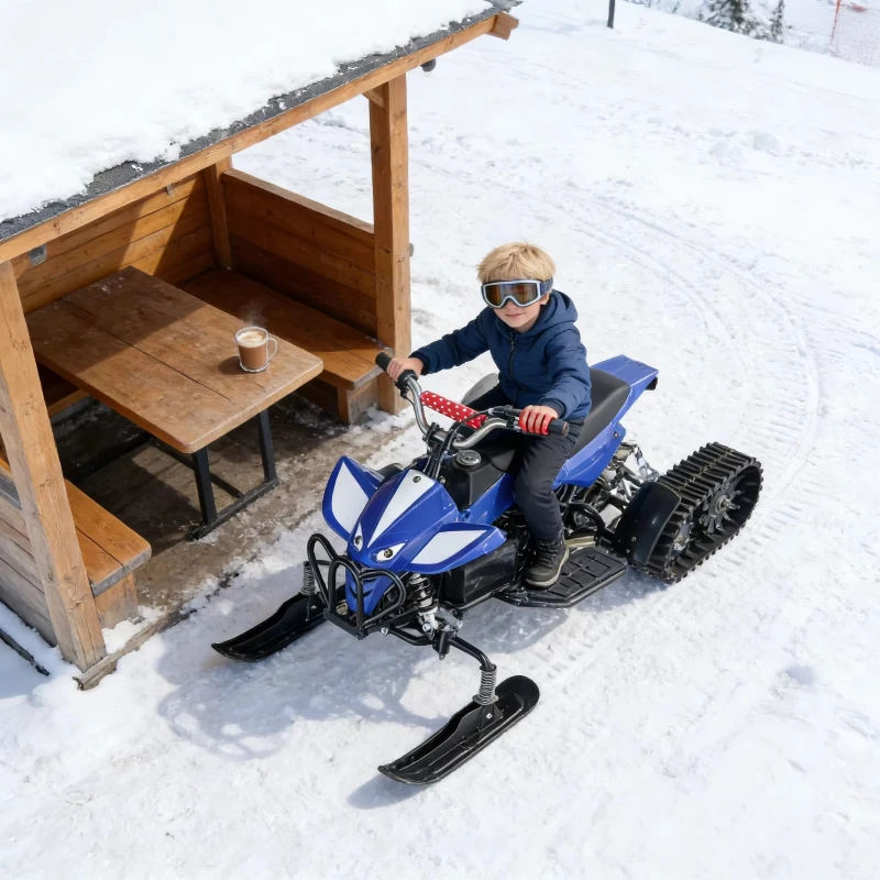 

Оптовая продажа снегоходов от производителя: электрические, усиленные, долговечные, экономичные, подходят для оптовых закупок.