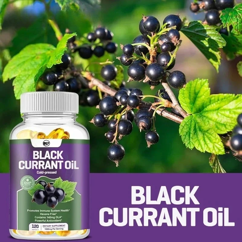 Black Currant Oil for Hair And Skin Health Immunity Booster Antioxidant Supplement Nutritional Supplement