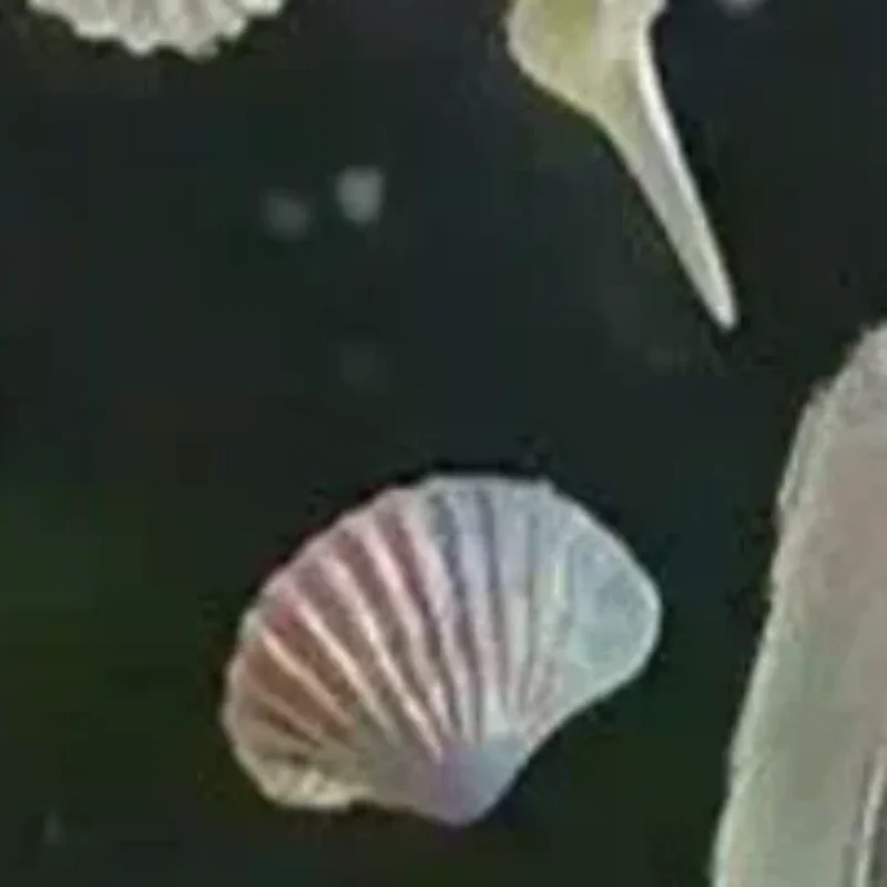 Ocean Series 3D Silicone Nail Mold Mermaid Starfish Shell Nails Art Carving Templates Manicure Design Tool DIY Nail Art Decor