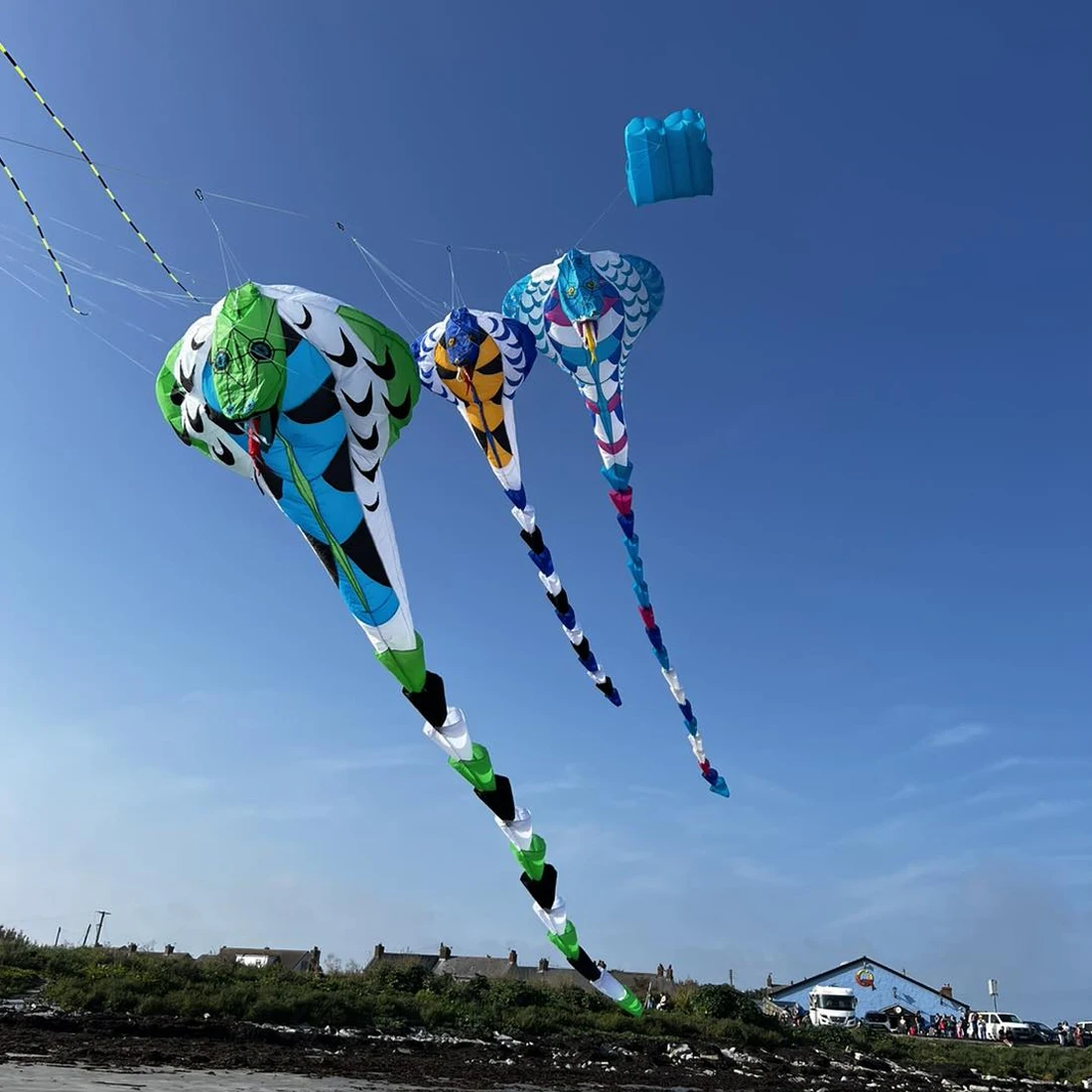 9KM 18m Cobra Kite Line Laundry Kite Pendant Miękki nadmuchiwany latawiec pokazowy na latawiec festiwalowy 30D Ripstop Nylon z torbą