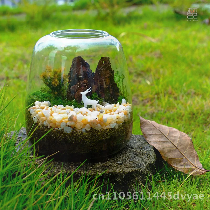 

Ecological Micro Landscape Bottle Fish Tank with Hydroponic Plant Desktop Water Moss Potted Plant Handmade High Borosilicate