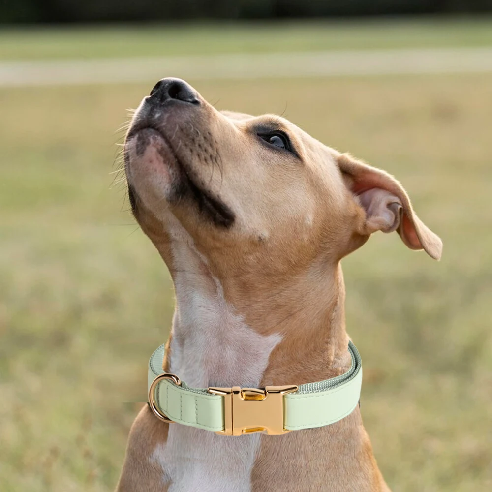 Leather Dog Collar Double Layers Nylon Padded Safety Metal Buckle Adjustable PU Leather Dog Collars for Small Medium Large Dog