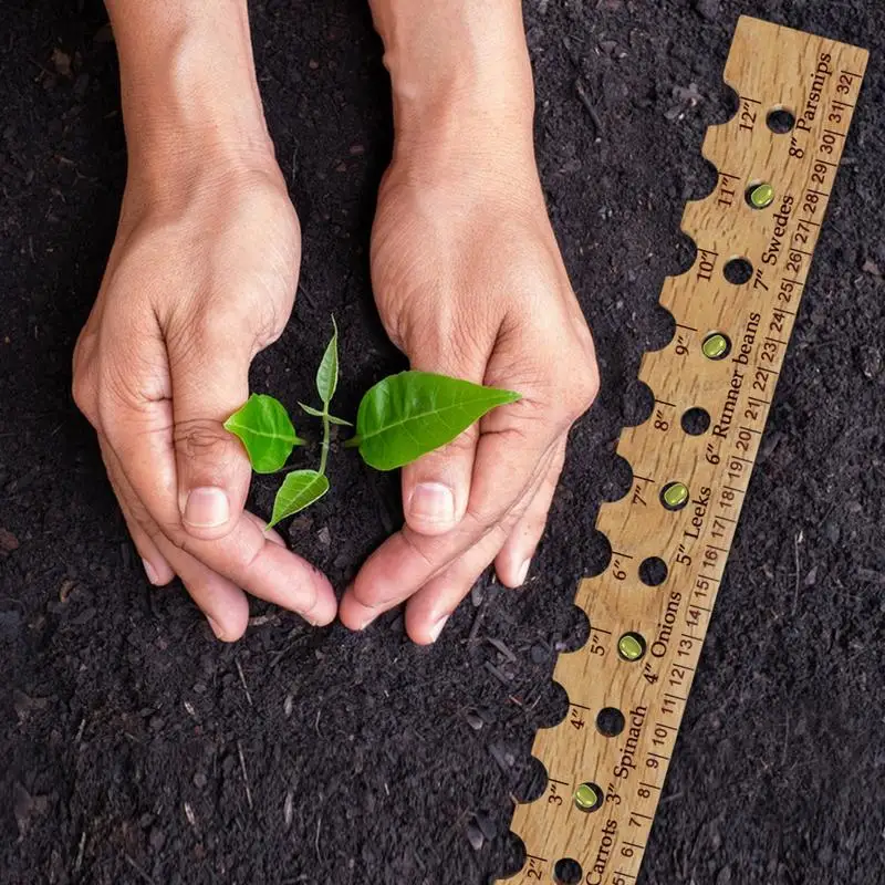 Wooden Planting Ruler With Spacing Recommendations Wood Plant Planting Ruler Seed Spacer For Precise Planting Plants Spacing