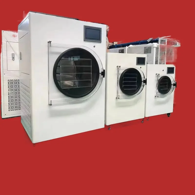 

6Kg Home 10Kg Commercial 8Kg 12Kg Mini Freeze Dryer No Oil Pump Drying Hine Lyophilizer Price For Candy Food Fruit Vegetable