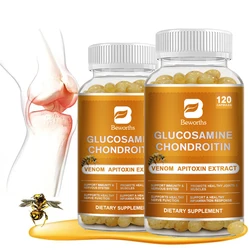 Glugosamine chondroitinカプセルの痛みを和らげる、蜂の毒抽出、弦楽器、加熱ディスク、膝と関節のケア