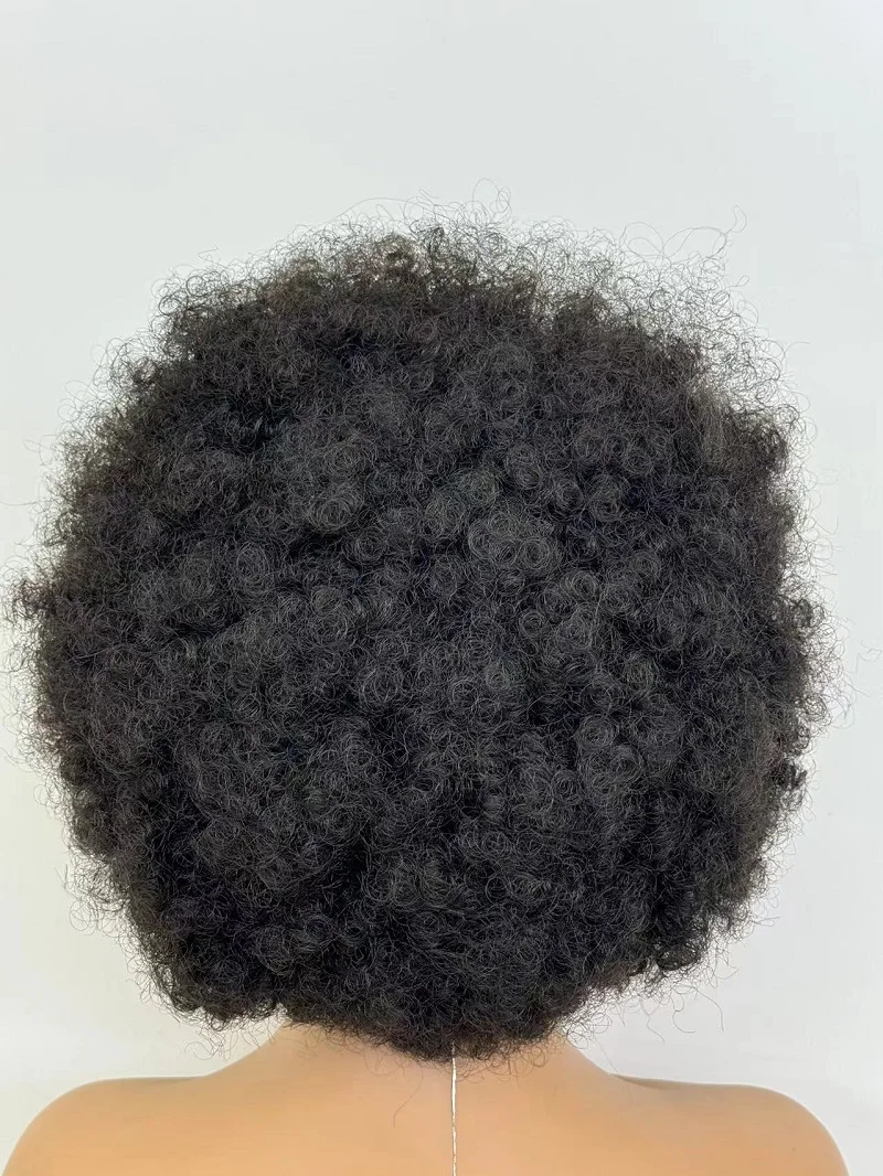 ライトビューティー 新スタイル ショートヘア アフロ キンキーカール ウィッグ 前髪付き 黒人女性用 合成ウィッグ 自然な髪質ミックスウィッグ