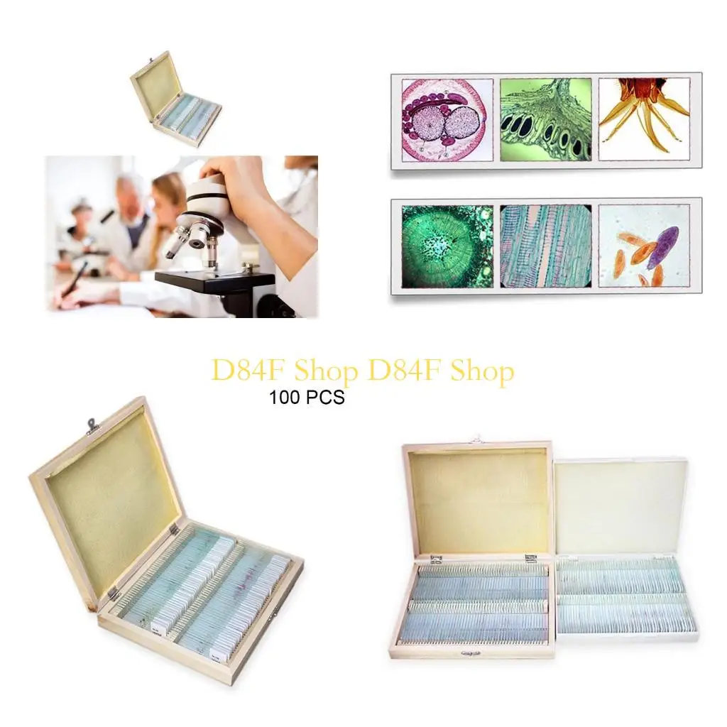 D84F Microscope Slides Kids Plastic Prepared Microscope Slides of Animals Plants Flowers Sample Specimens 25/50/100PC