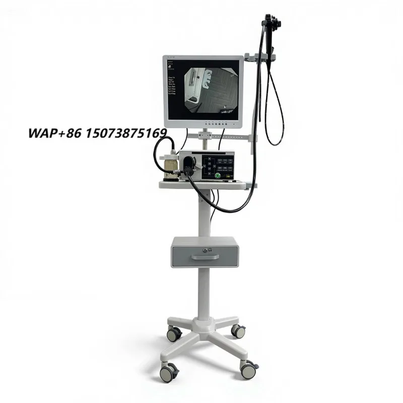 Vetoo VT-ES01 Veterinary Endoscopy System, Cold Light Source LED Light Source High definition Display, Metal Hose 1 Year Warrant