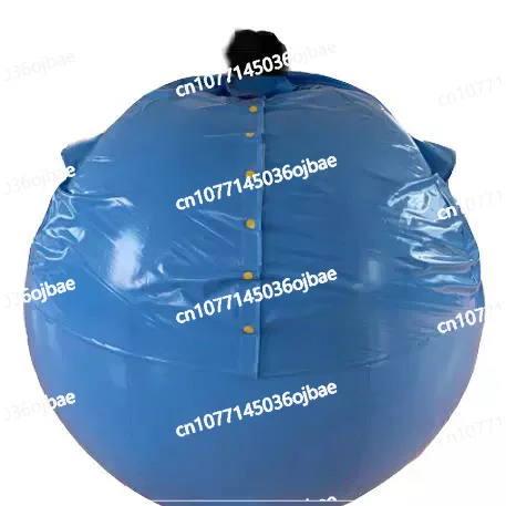 

Body Inflatable Balloon Clothing Inflatable Blueberry Clothing Creative Advertising Inflatable Clothing