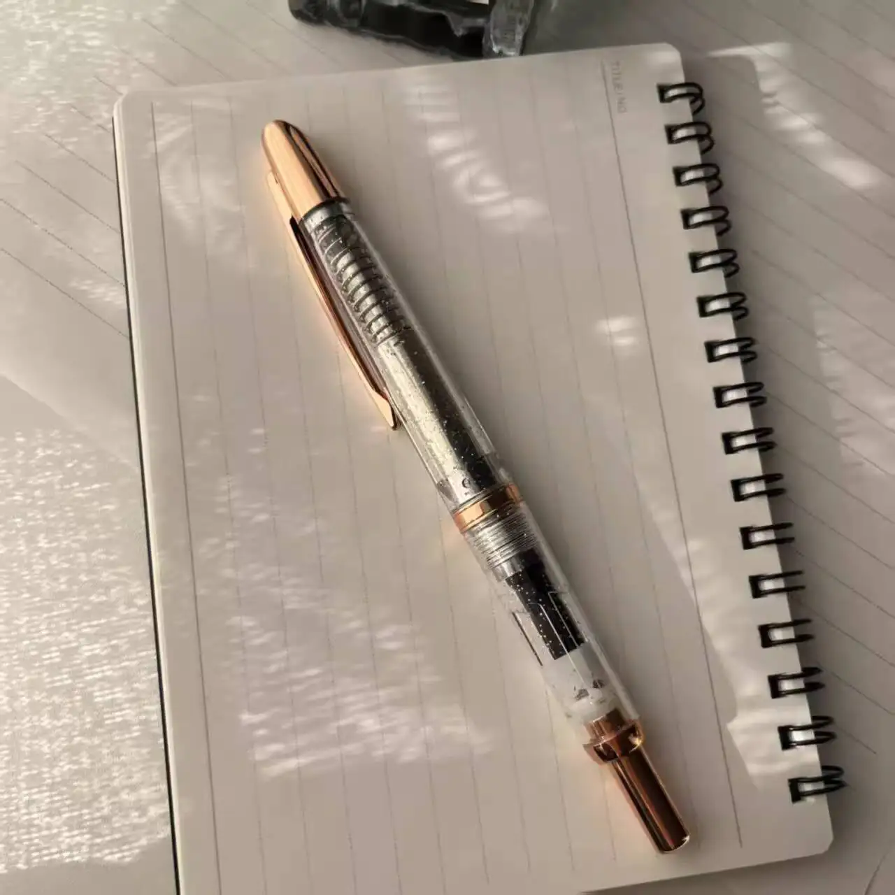 Jinhao Retractable Fountain Pen Press to Extend Tip Snow Scene Cherry Blossom Posture Practice Hard Pen Fountain Pen Plastic