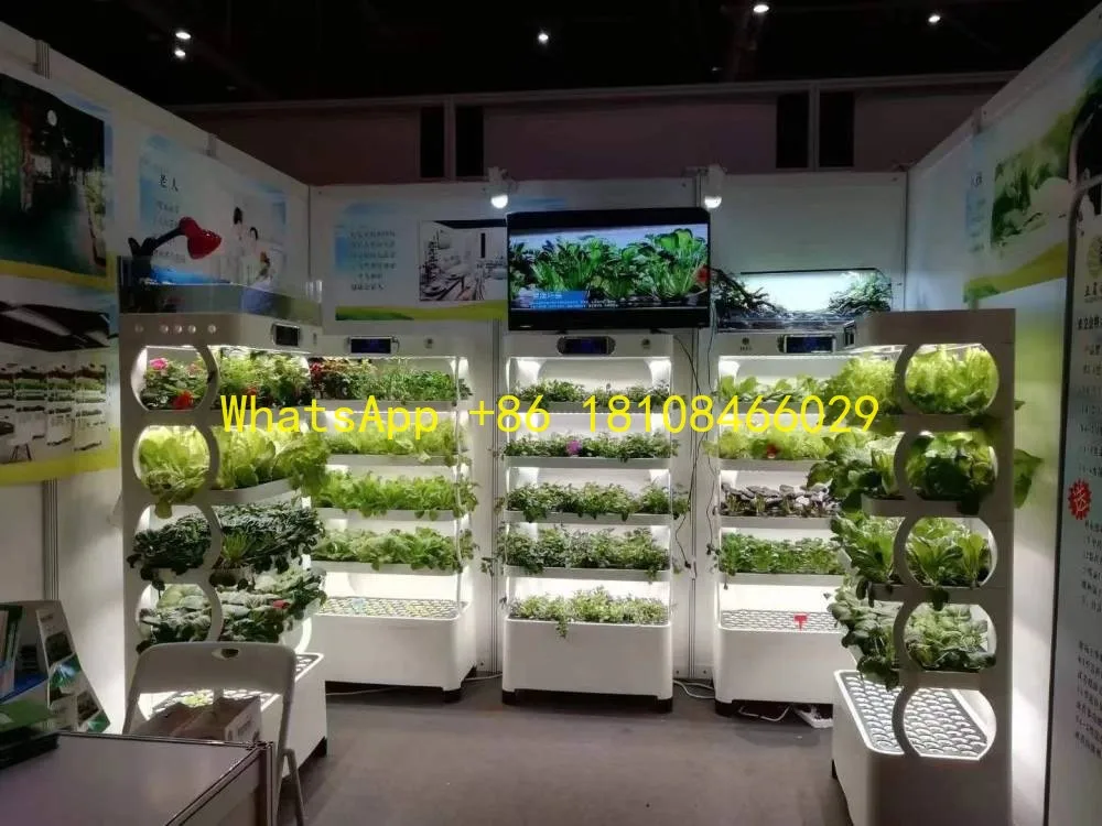

Growth Home Hydroponic Growing Systems Intelligent Controllable Home Smart Farm Lyine Leaf Vegetable Indoor