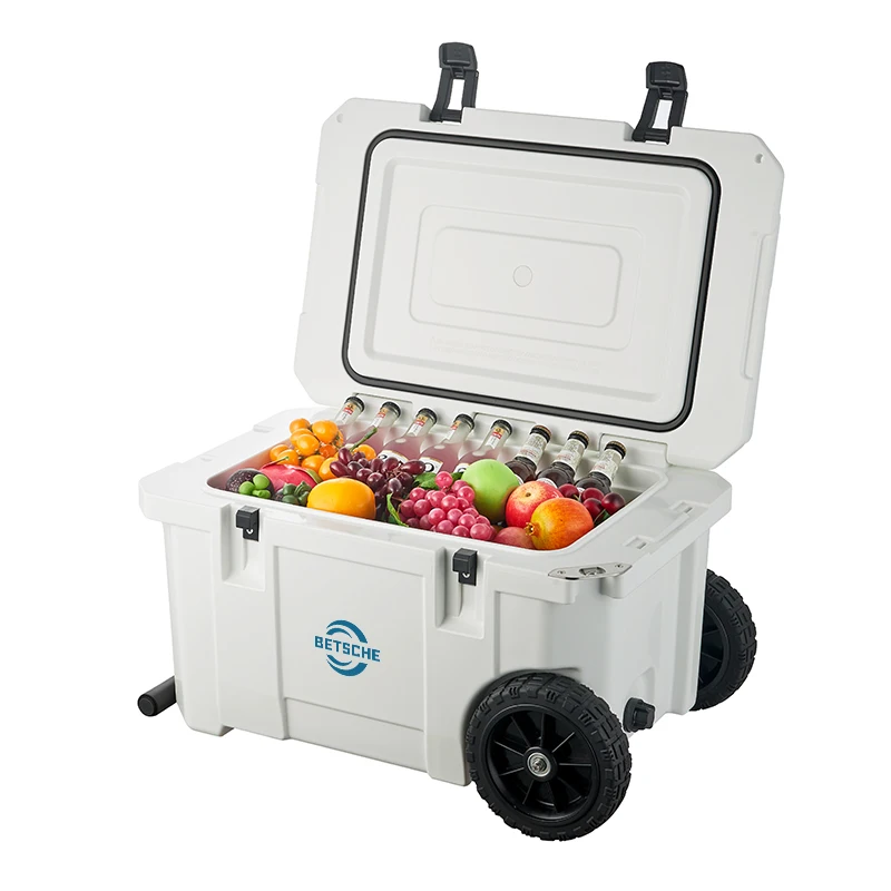 Q Outdoor activities Camping Food Fruit Beer Freezer Fishing Freezer