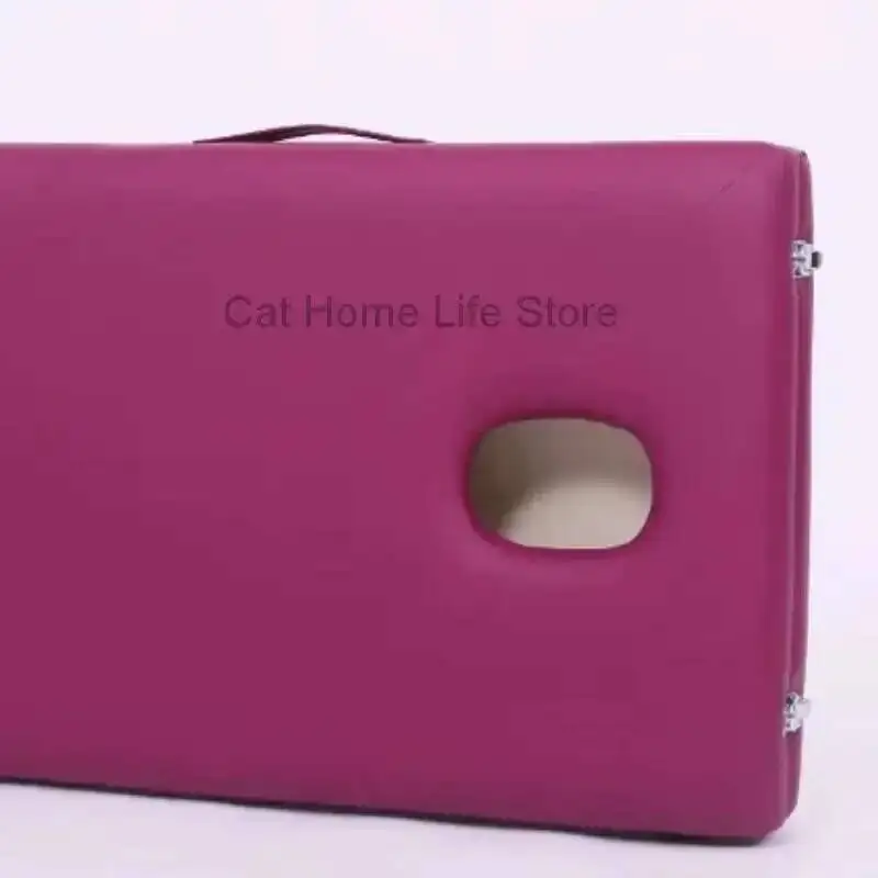 

Beauty Tattoo Folding Portable Bed Beauty Spa Cosmetic Massage Bed Full Body Recliner Maca Portatil Dobrável Salon Furniture