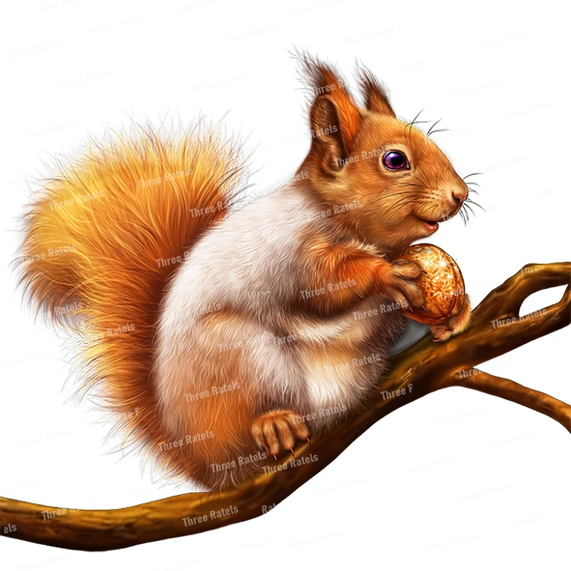 Three Ratels CO5 Cute little squirrel cartoon sticker for home decoration Ipad decals