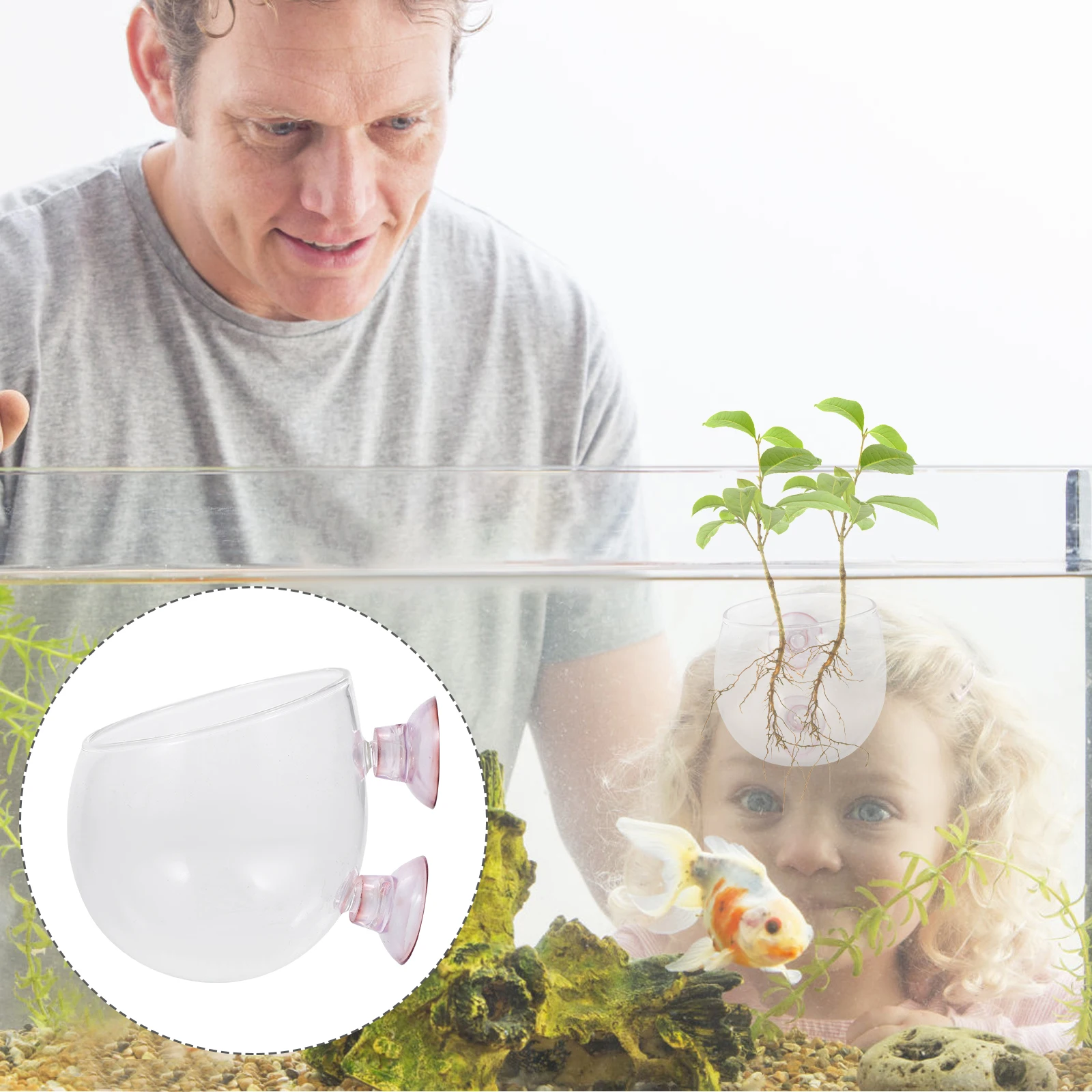 

Mini Potted Plant Aquatic Holder with Suction Cup Aquarium Miniature Bowl Fish Tank Glass