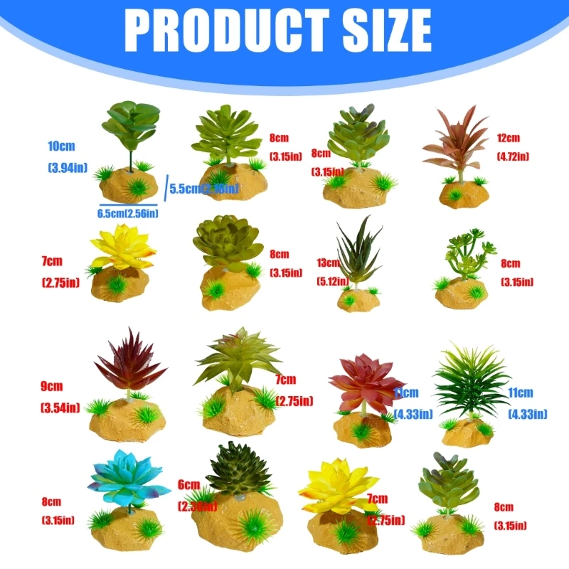 عشب نبات الزواحف للعصارة فرع ديكورات الموئل بأوراق السحالي والعناكب الأفعى ابن حزم رحمه الله مخابئ A2BB