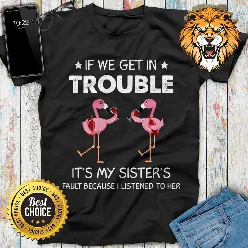 If We Get In Trouble It's My Sister's Fault Flamingo Birthday Lovers Shirt A3652